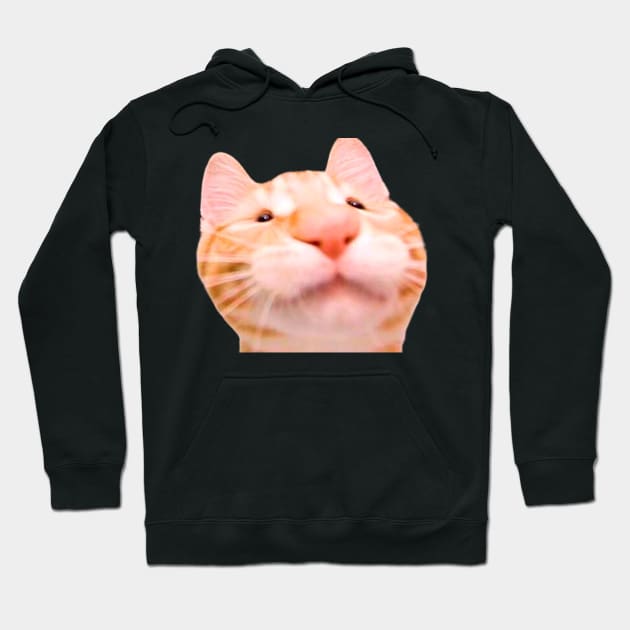 funny meh cat Hoodie by ezzobair